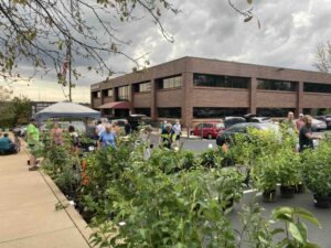Native Plant Sale in parking lot