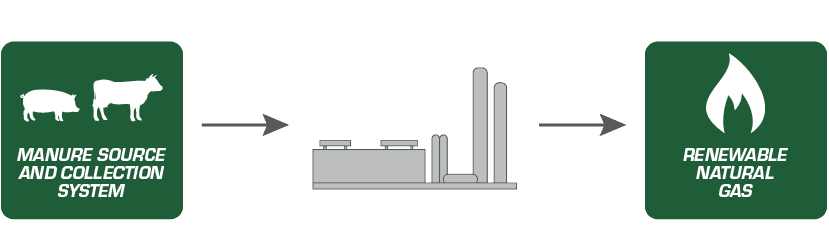 Anaerobic Digestion Diagram